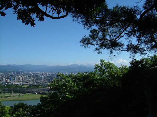 DSCF3175.JPG