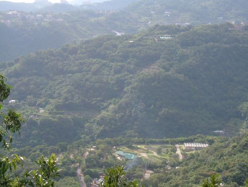 DSCF3074.JPG