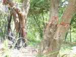 b021.JPG