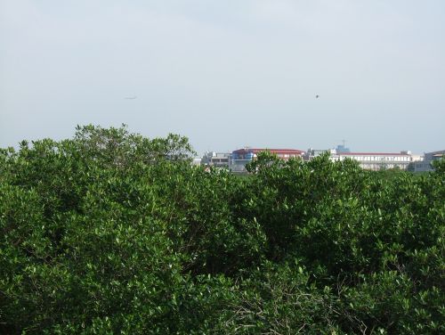 DSCF2787.JPG