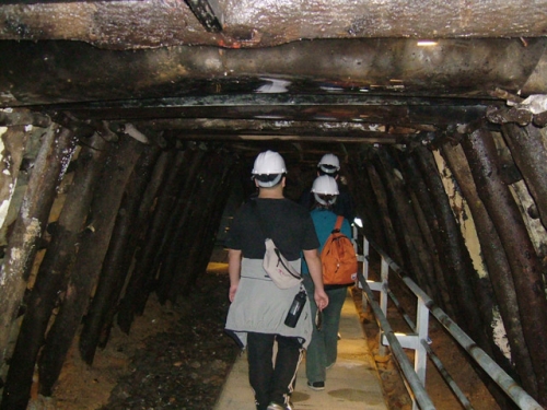 DSCF0785.jpg