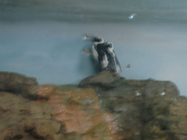 DSCF0672.JPG