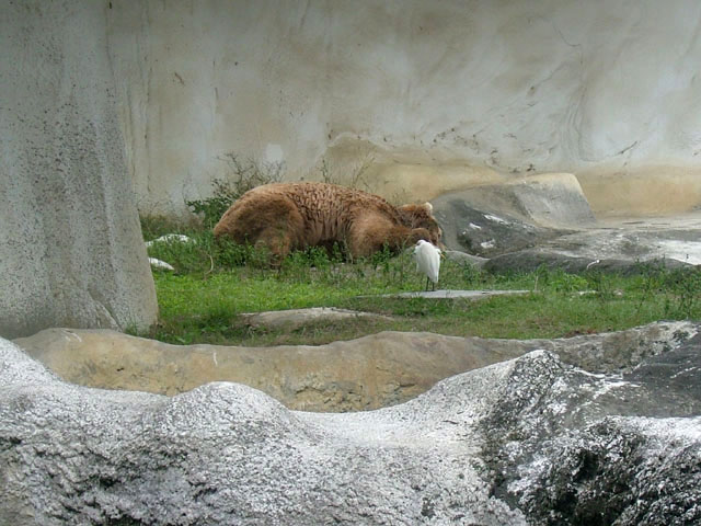 DSCF0675.JPG