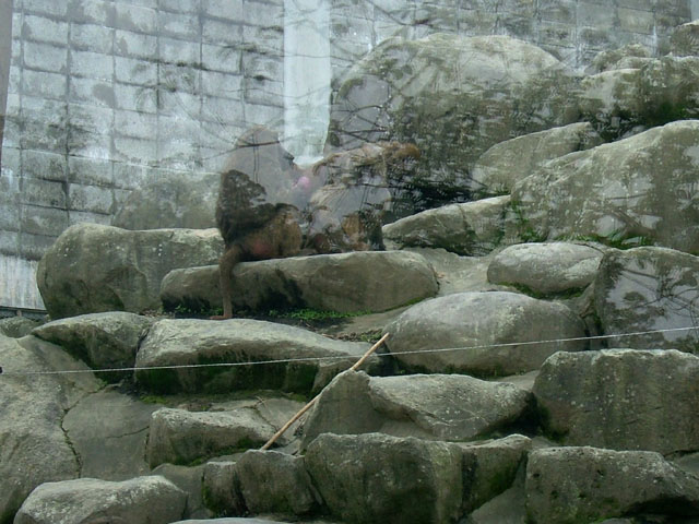 DSCF0681.JPG