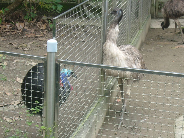 DSCF0709.JPG