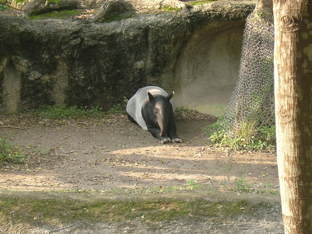 DSCF0717.JPG
